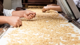 mini-09052017-sem título-192