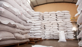 mini-09052017-sem título-94